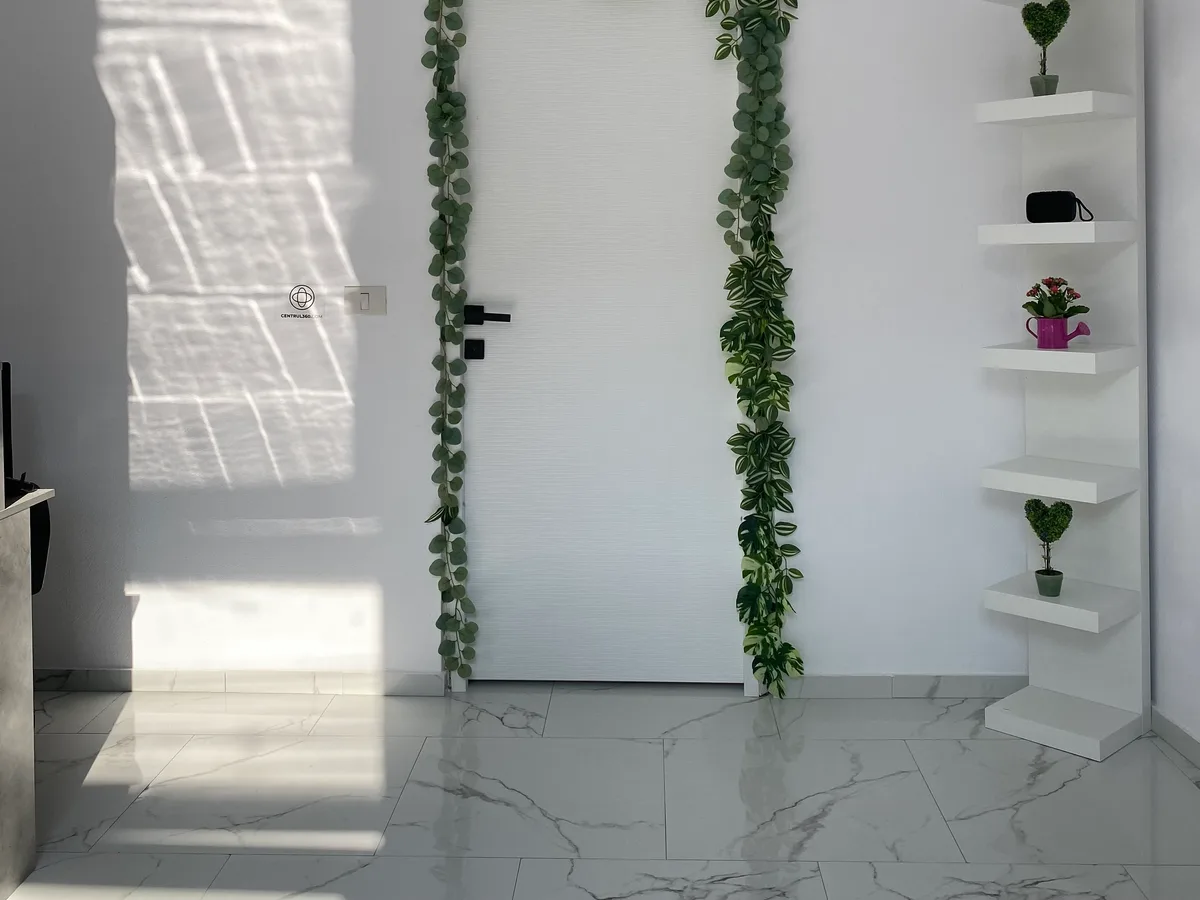 Intrarea cu plante, clinica Centrul360 Arad