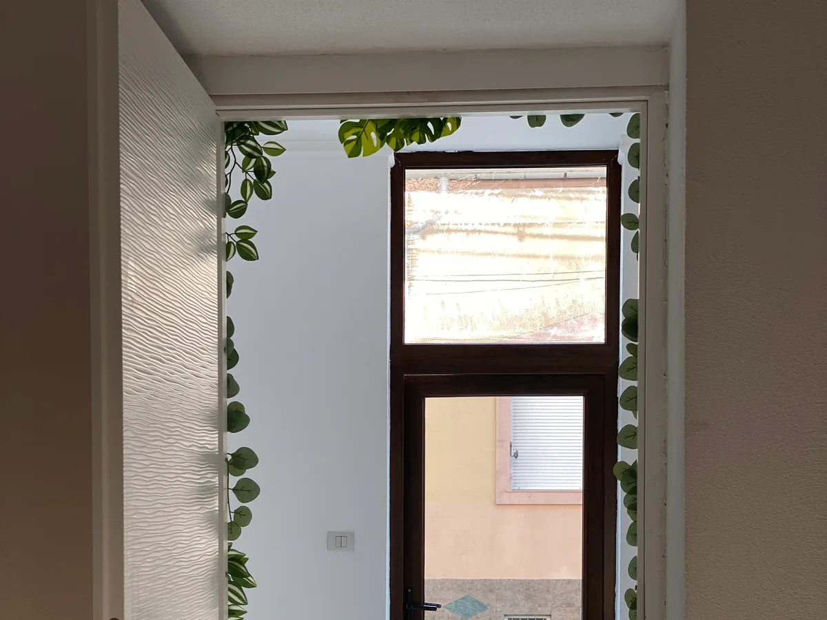 Detalii cu plante, clinica Centrul360 Arad